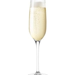 Eva Solo Champagne GLASS